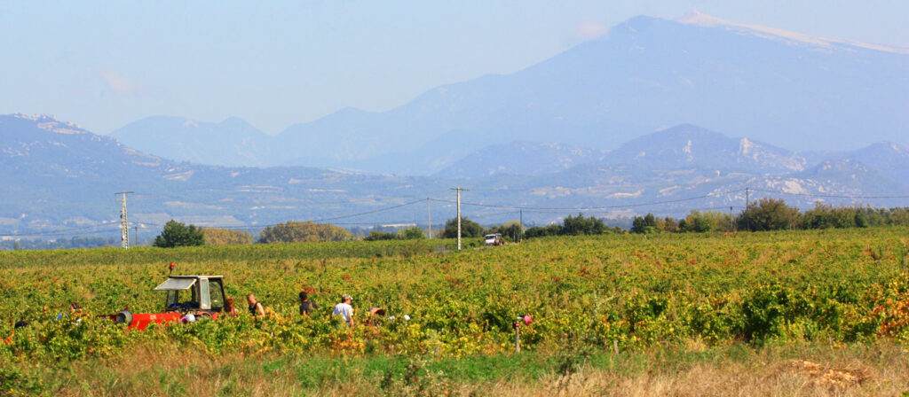 Communauté de communes Ventoux Sud Vaucluse Provence Attractivité