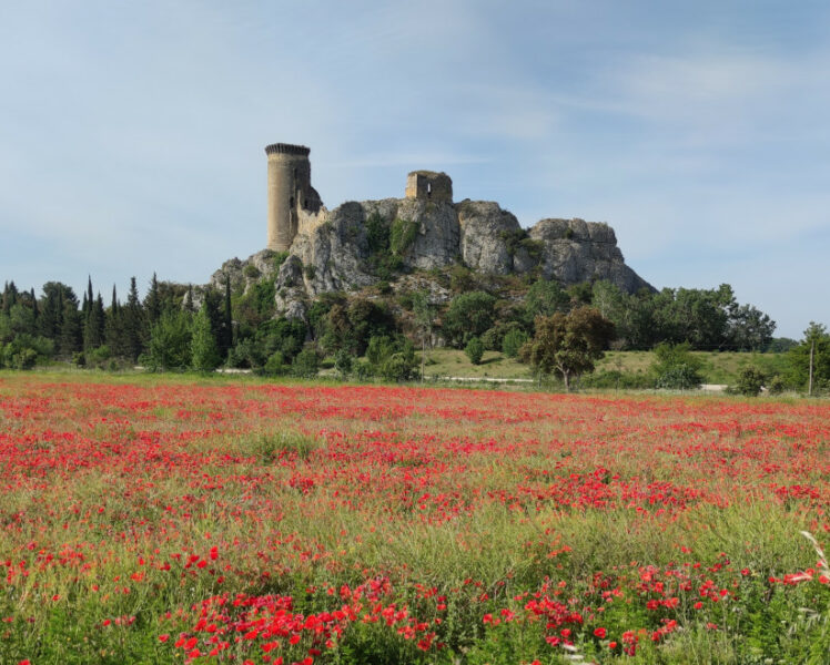 Zoom sur le Vaucluse devant l’objectif