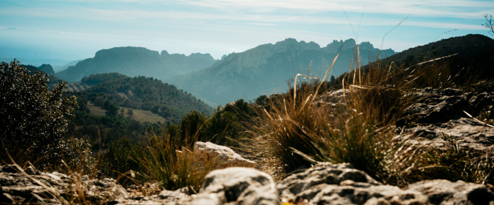 Vue sur les Dentelles de Montmirail - Thomas O Brien