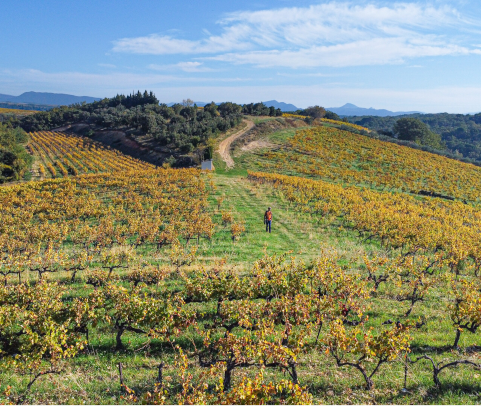 Randonnée en automne