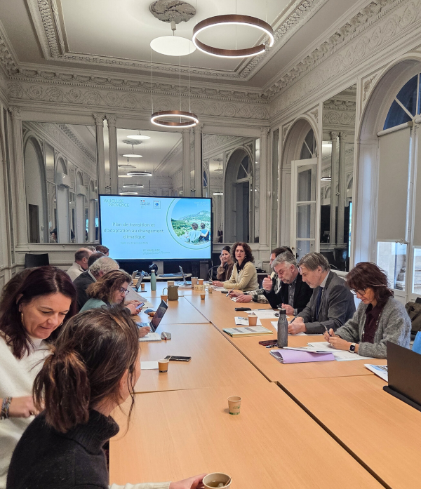 Copil Transition 2026